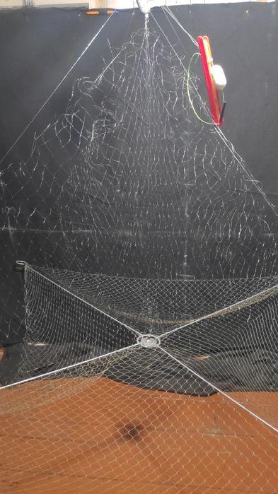 Хапугапавуки photo 5