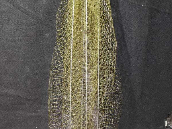 Хапугапавуки photo