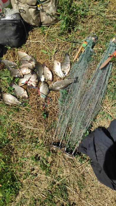 Хапугапавукраківниця photo 1