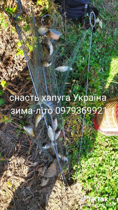 Хаапуги оцинковані фото 1
