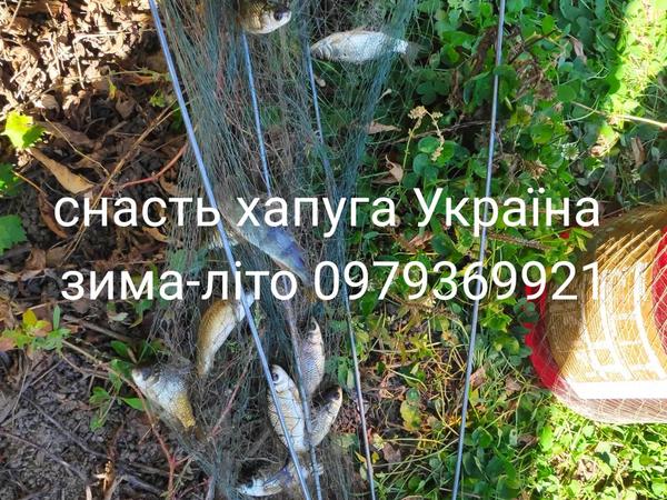 Хаапуги оцинковані фото