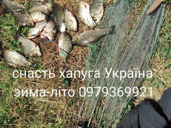 Хапуга Україна фото