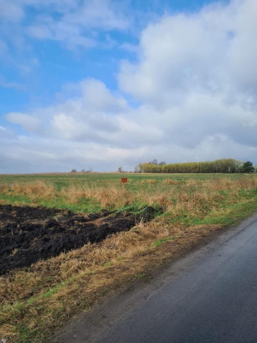 Земельна ділянка фото 5