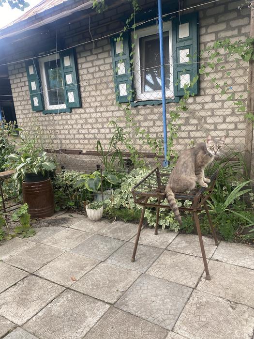Продам дом photo 1