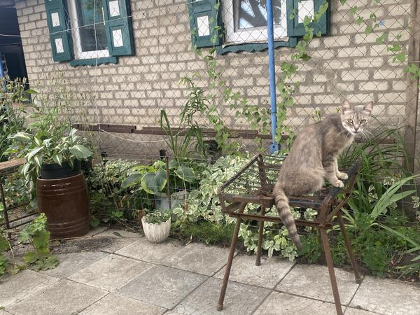Продам дом photo