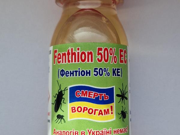 Інсектоакарицид Фентіон 500 КЕ photo