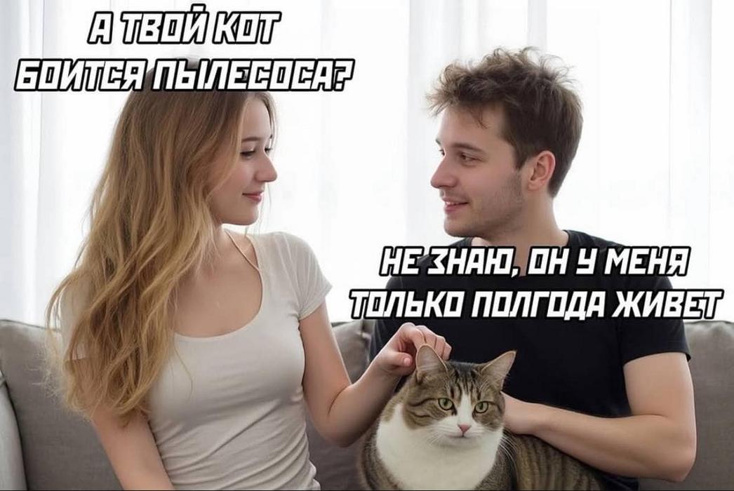 Виклик ветеринара додому Дніпро Кастрація, Стерилі фото 2