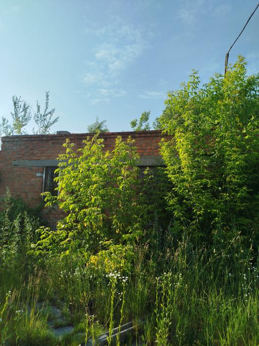 Продаються цехи під різний вид діяльності photo 5