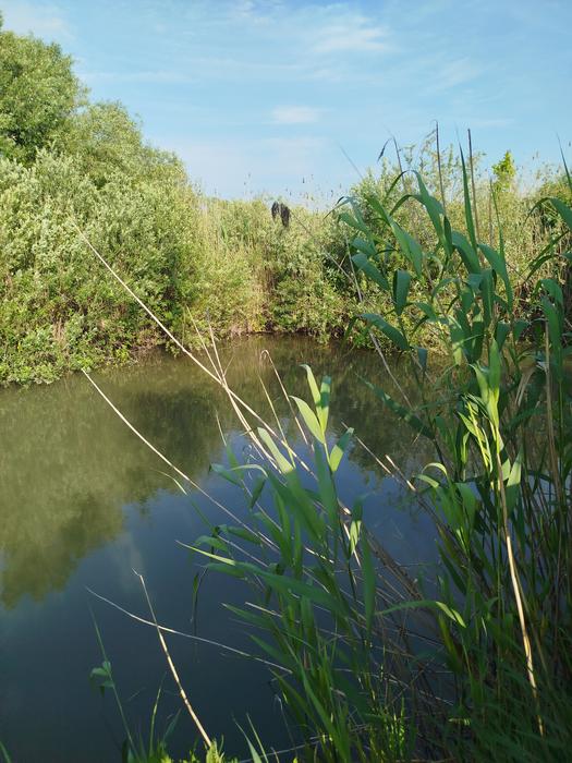 Продаються цехи під різний вид діяльності photo 8