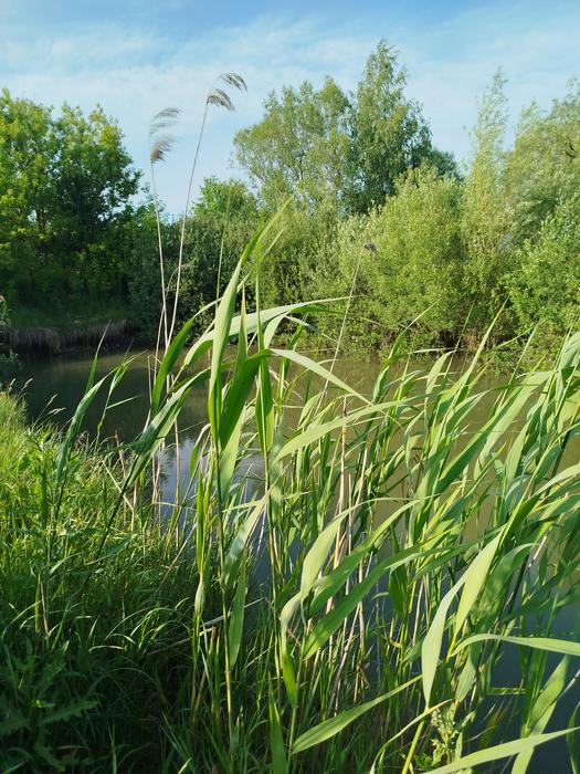 Продаються цехи під різний вид діяльності photo 9