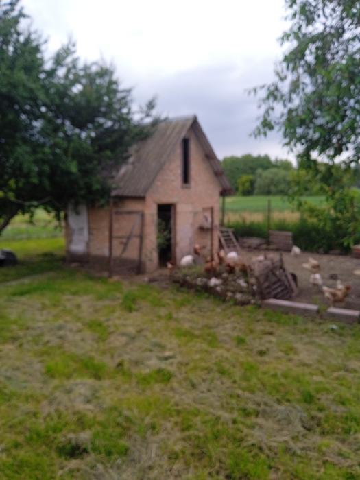 Продається будинок фото 4