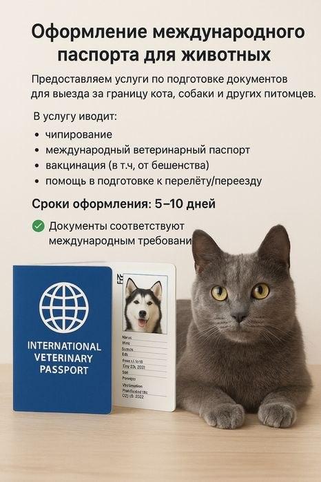 Срочное оформление документов для выезда животных фото 1