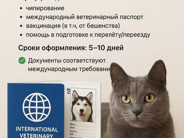Срочное оформление документов для выезда животных фото