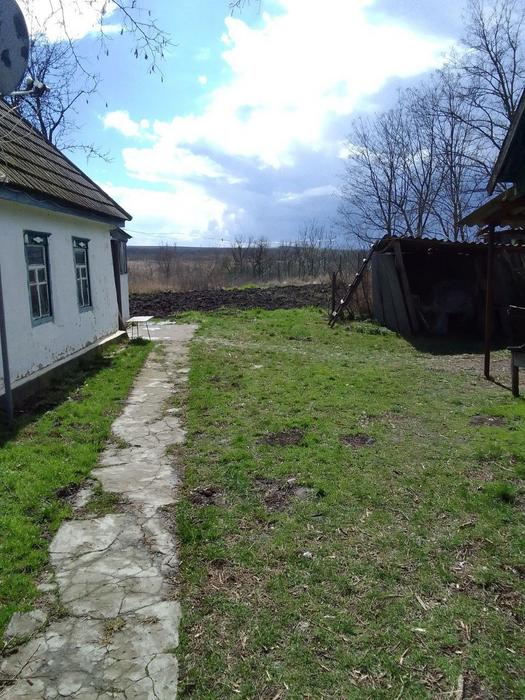 Будинок До річки Синюха фото 1