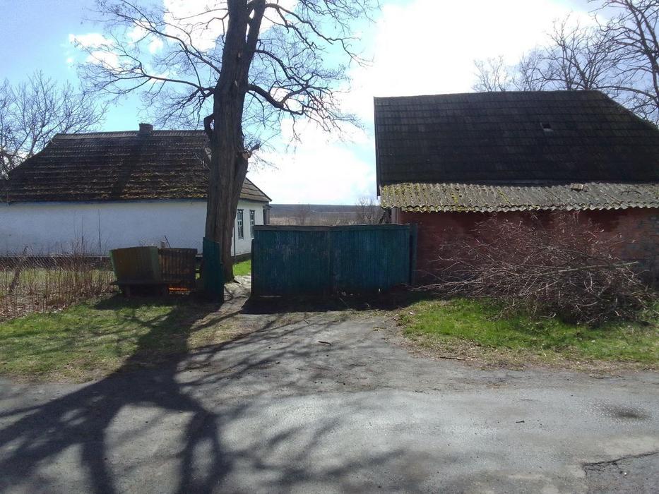 Будинок До річки Синюха фото 2