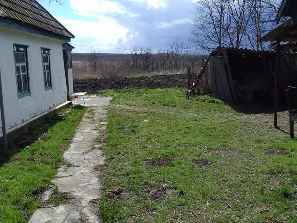 Будинок До річки Синюха фото