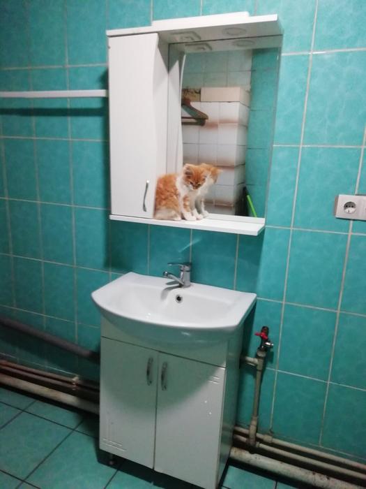 Будинок фото 6