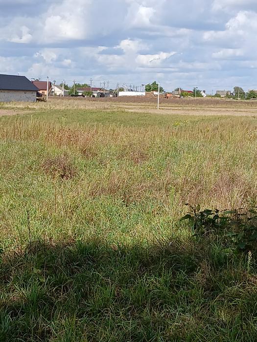 Продаж земельної ділянки фото 2