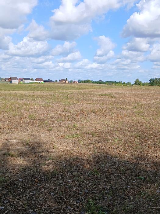 Продаж земельної ділянки фото 3