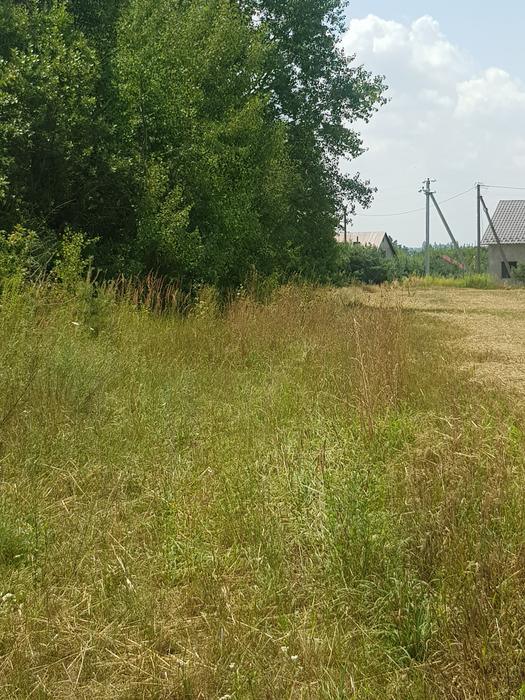 Продаж земельної ділянки фото 4