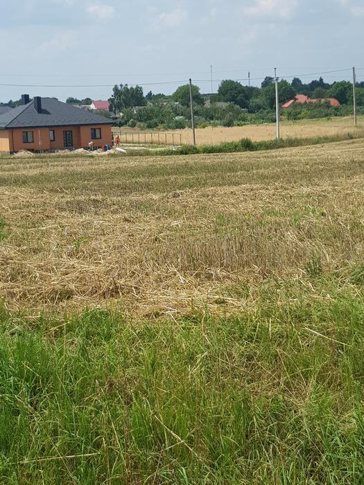 Продаж земельної ділянки фото 5