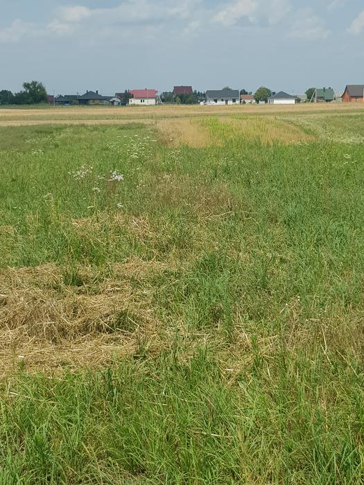 Продаж земельної ділянки фото 6