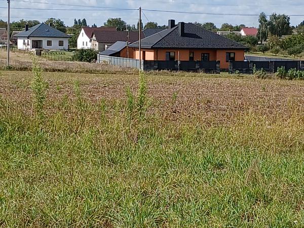 Продаж земельної ділянки фото