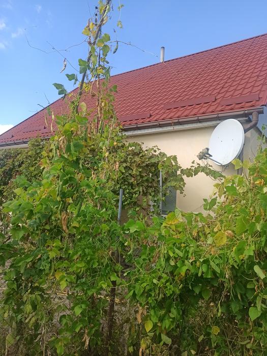 Будинок фото 3