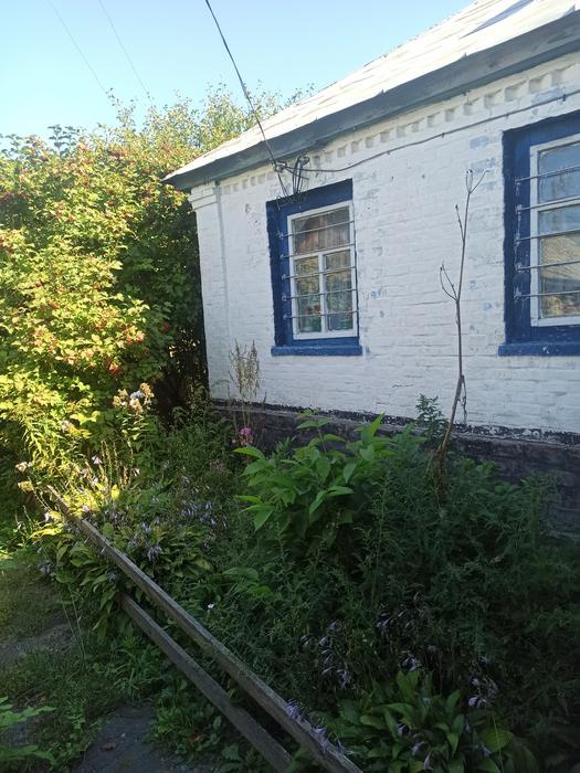 Нерухомість фото 1