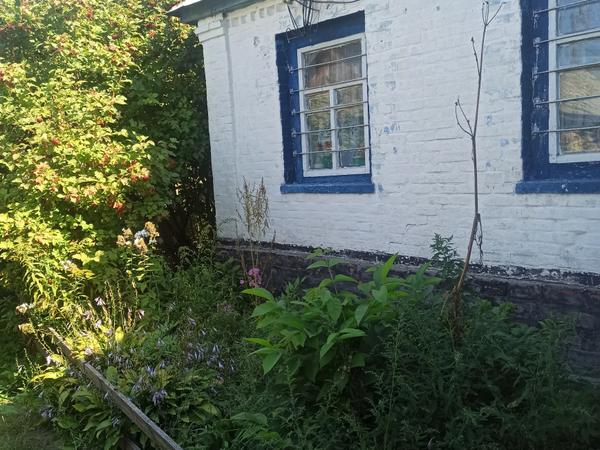 Нерухомість фото