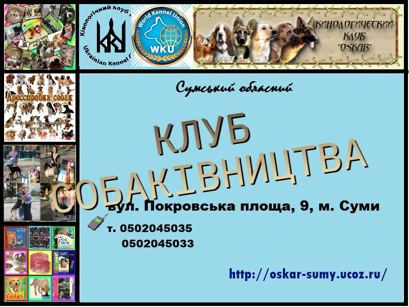 Запрошуємо в клуб собаківництва photo 1