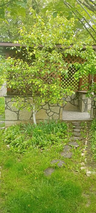 Житловий будинок фото 3