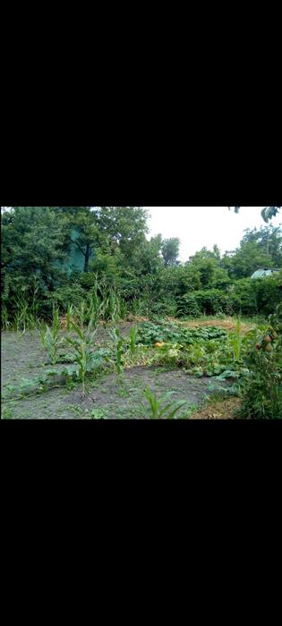 Продам землю 6 соток під забудову фото 3