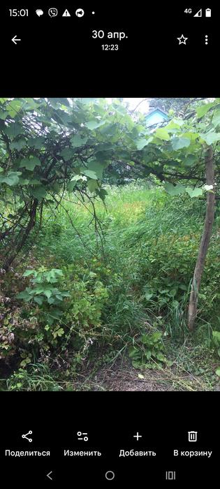 Продам землю 6 соток під забудову фото 4