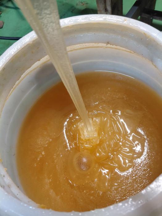 Продам мед фото 2