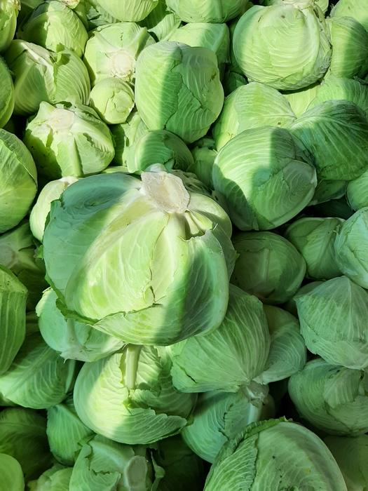 Продам капусту пізню , пригодна як на переробку та фото 1