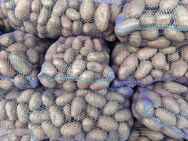 Продам картоплю фото