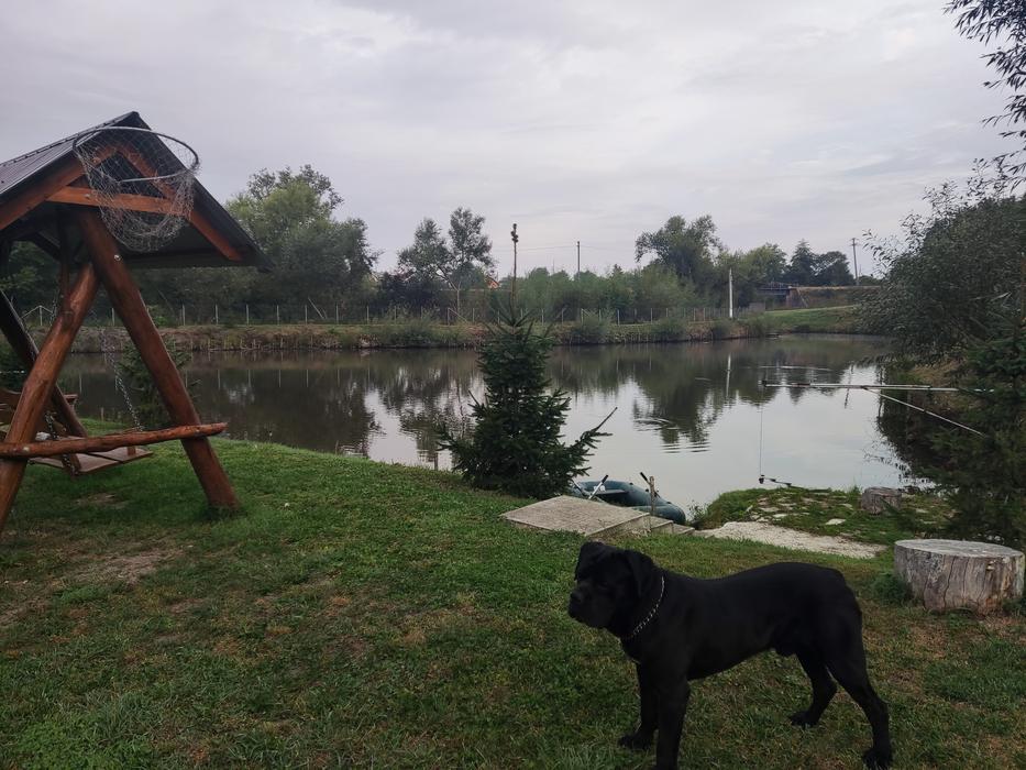 Господарство фото 5