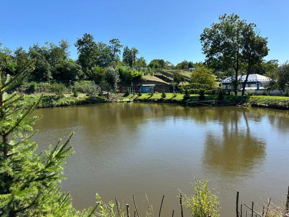 Господарство фото 8