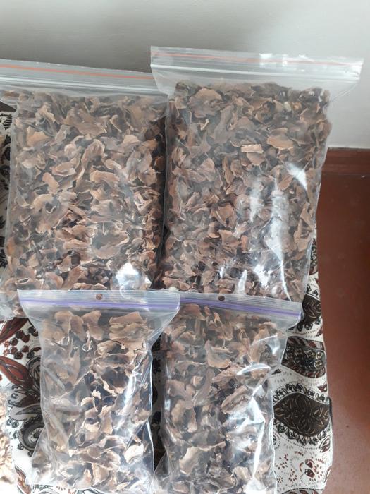 Продам горіхи грецькі домашні ,перетинки горіха фото 3