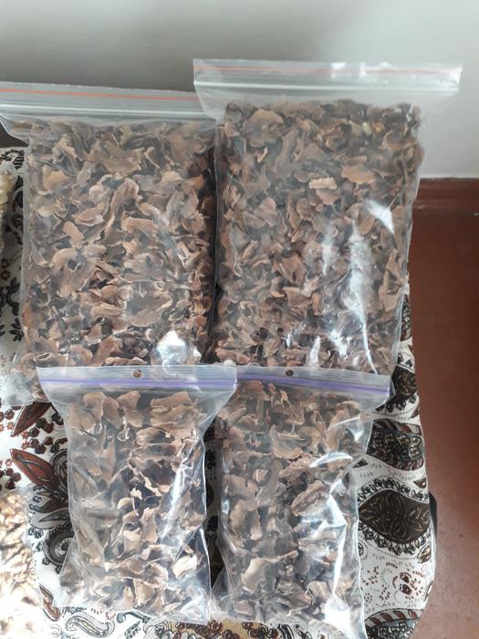 Продам горіхи грецькі домашні ,перетинки горіха фото 5