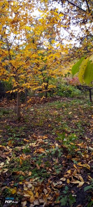 Продаю,участок,М,Чернівці. фото 1