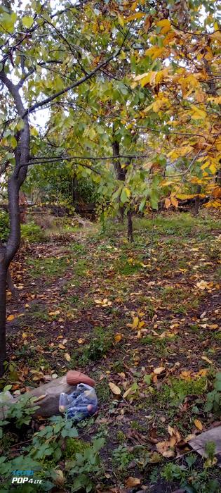 Продаю,участок,М,Чернівці. фото 3