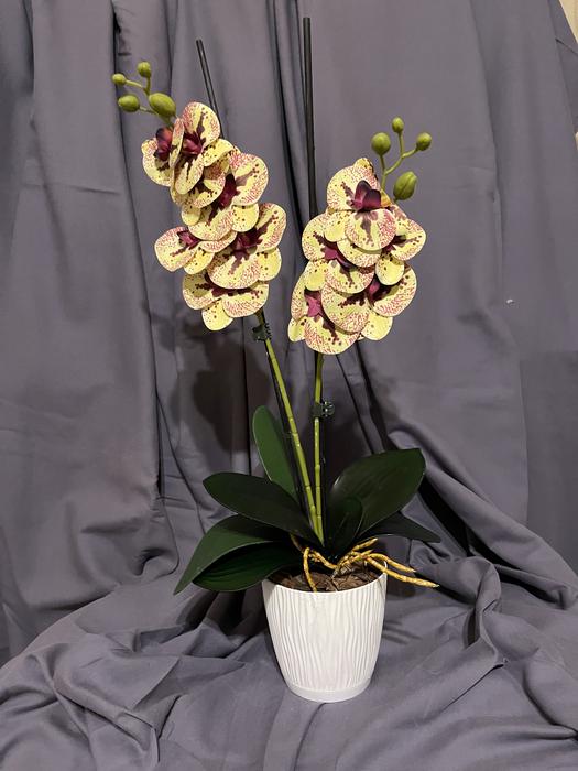 Гелеві та латексні орхідеї ( штучні квіти ) photo 1