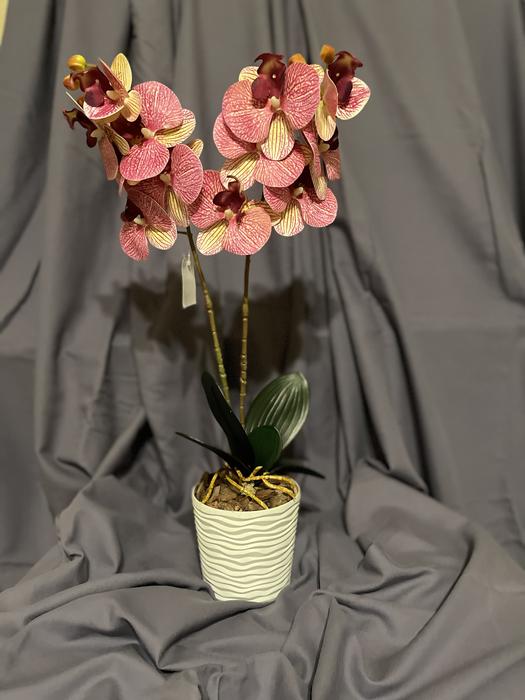 Гелеві та латексні орхідеї ( штучні квіти ) photo 3