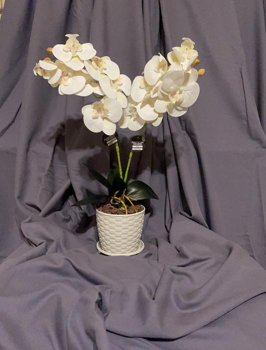 Гелеві та латексні орхідеї ( штучні квіти ) photo 4