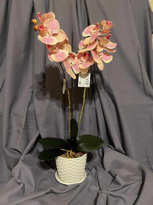 Гелеві та латексні орхідеї ( штучні квіти ) photo 5