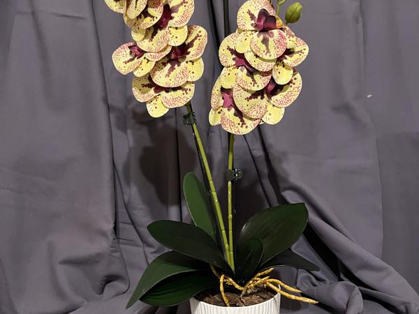 Гелеві та латексні орхідеї ( штучні квіти ) photo