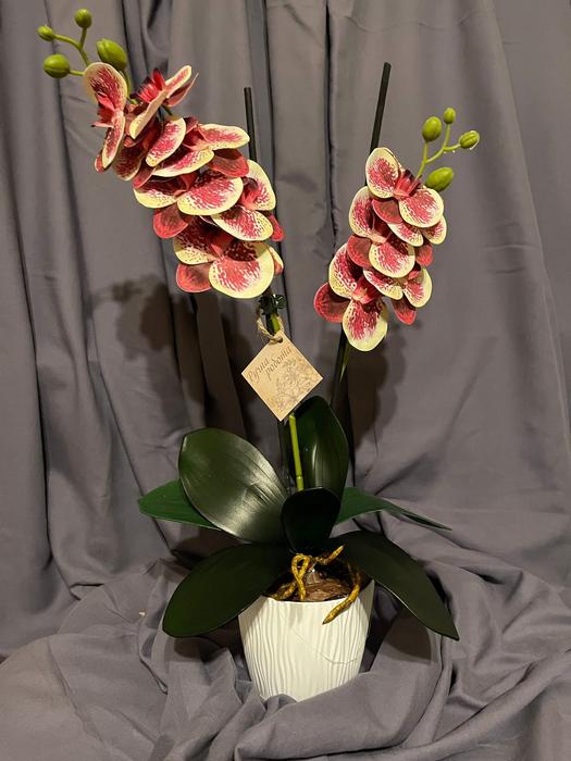 Дизайн! Гелеві та латексні орхідеї photo 1