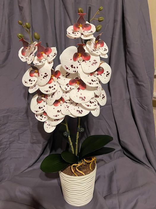 Дизайн! Гелеві та латексні орхідеї photo 2